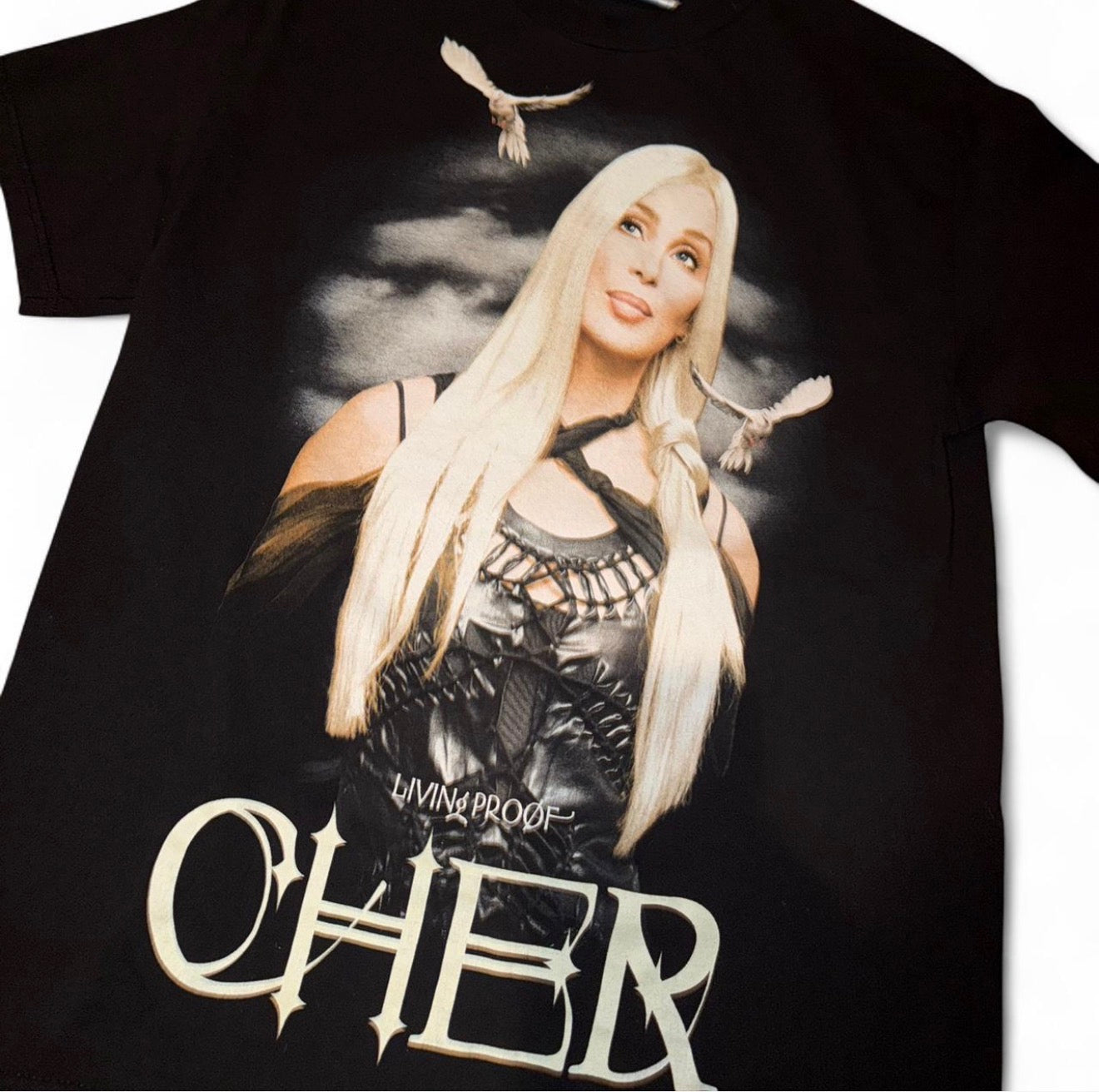 Vintage 2002/2003 Cher Tour Tee