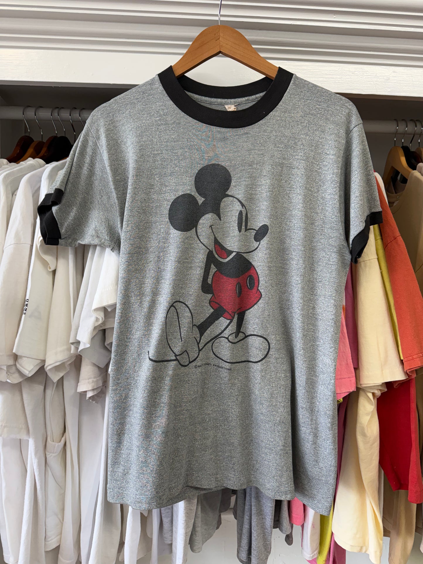 Requested Listing for Customer - Mickey